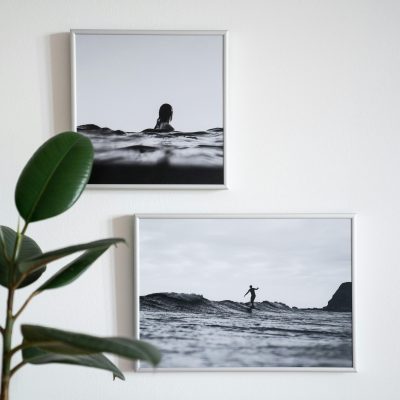 Elegant black and white framed photos on a white wall with a green plant for modern interior decor.